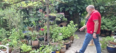 Open Tuinendag 2025 gehouden in Krimpen aan den IJssel