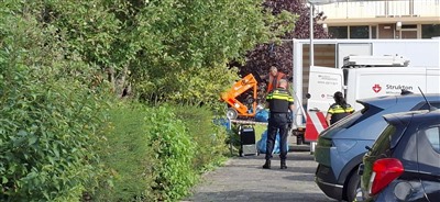 Hennepplanten uit appartement aan de Alkenoord vernietigd na eerdere ontdekking