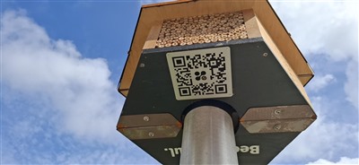 Vijf nieuwe Bijenhotels opgehangen in Krimpen aan den IJssel Vijf nieuwe Bijenhotels opgehangen in Krimpen aan den IJssel