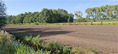 Weilanden in Park Hitland in Nieuwerkerk aan den IJssel na gebruik als baggerdepots  geëgaliseerd en worden weer ingezaaid.