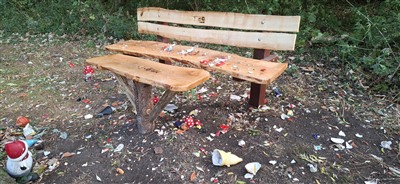Vandalen richten vernielingen aan in Kabouterbos en Ruilkast in het Schollebos