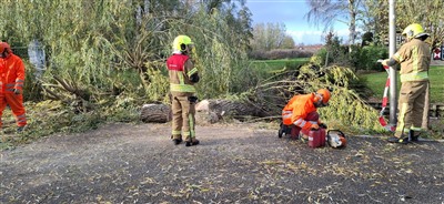 Boom omgevallen op de 's-Gravenweg in Capelle aan den IJssel. De brandweer heeft de boom in stukken gezaagd en de weg vrijgemaakt.