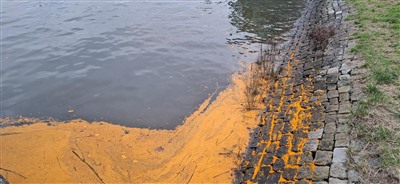 Palmolie gelekt in de Hollandsche IJssel, Opruimwerkzaamheden in volle gang