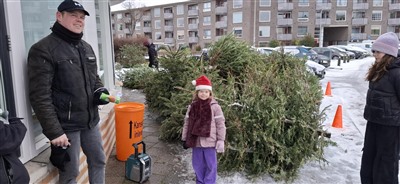 Capelse kinderen leveren kerstboom in voor een extra zakcentje.