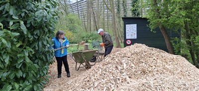 Vrijwilligers van de Heemtuin voorzien wandelpaden van verse houtsnippers 