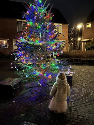Krijg een kerstboom voor jouw straat tijdens het Decemberstraatfeest Krijg een kerstboom voor jouw straat tijdens het Decemberstraatfeest