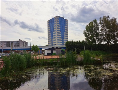 Advies: college van Leefbaar Capelle, PRO en SGP in Capelle aan den IJssel  Informateur Van Buuren presenteert advies, Lennart van der Linden formateur