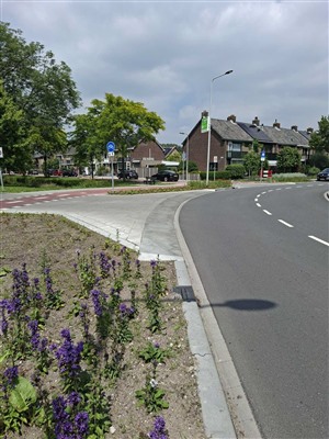 Let op: herstelwerkzaamheden aan de Batavierlaan