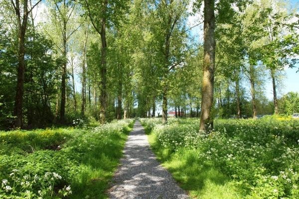 Eerste ROETZ Festival brengt magie naar Park Hitland