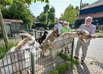 College Capelle aan den IJssel: “Geef kinderboerderij Klaverweide een nieuwe toekomst in het Schollebos”