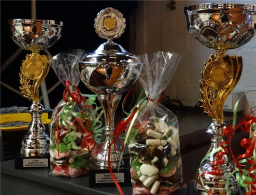 Succesvolle herstart Brass Band Schoonhoven Jeugdfestival