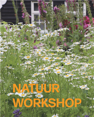 Natuurworkshop wilde lentesoep en salade