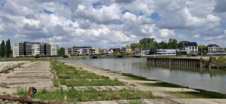 20250508_124050.jpg