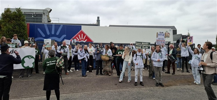 20251010_161956 20251010_161956.jpg