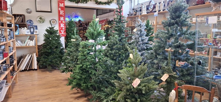 20251111_085905 20251111_085905.jpg