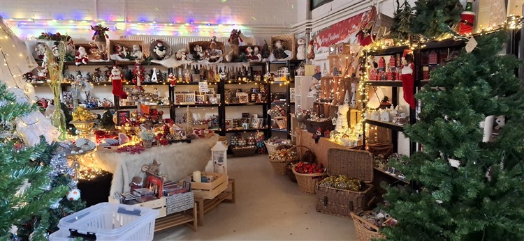 20251111_085917 20251111_085917.jpg