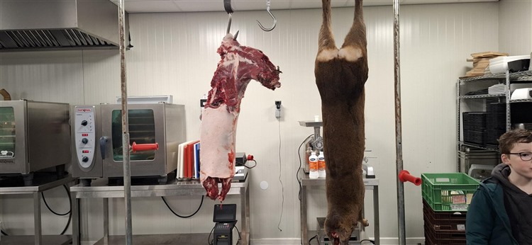 20260328_124240 20260328_124240.jpg