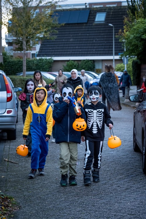 Afbeelding 1 (Scholloween) afbeelding-1-scholloween.jpg