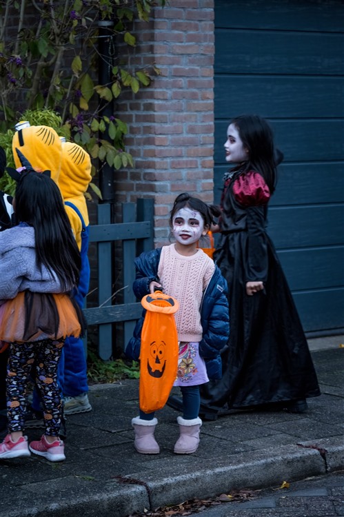 Afbeelding 2 (Scholloween) afbeelding-2-scholloween.jpg