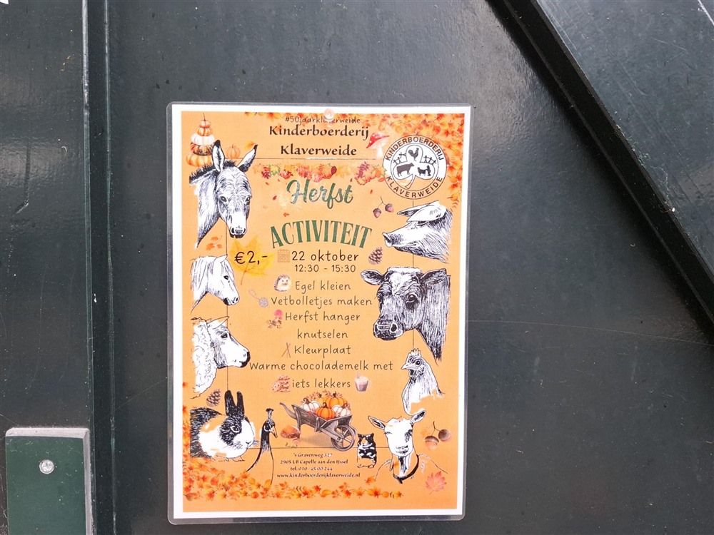 IMG_20251017_135923 img_20251017_135923.jpg