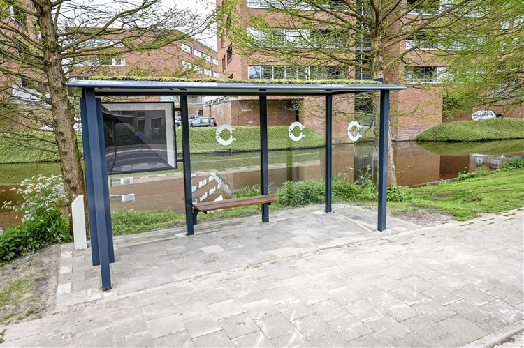 toegankelijkbushokje.jpg